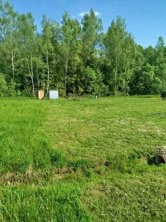 Земельный участок у леса - Фото 2