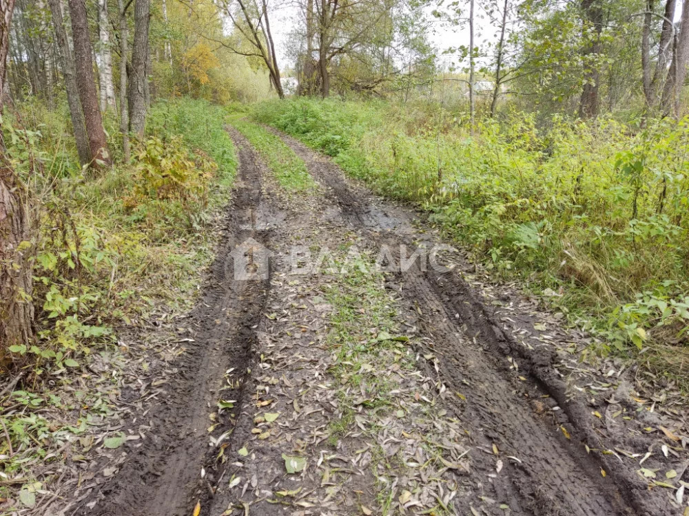 Суздальский район, деревня Алфериха,  земля на продажу - Фото 0