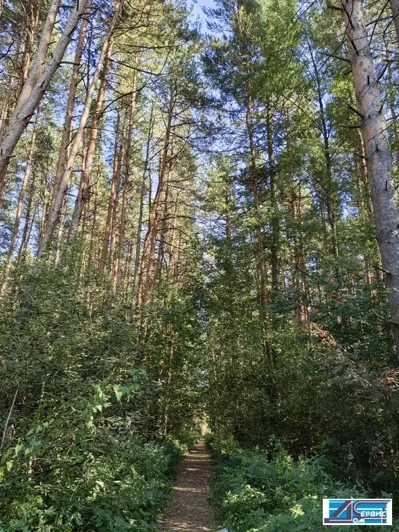 продается 3-х комнатная квартира - Фото 32