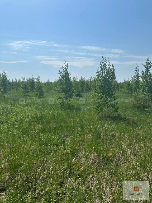Продажа участка, Яшь Кеч, Высокогорский район - Фото 3