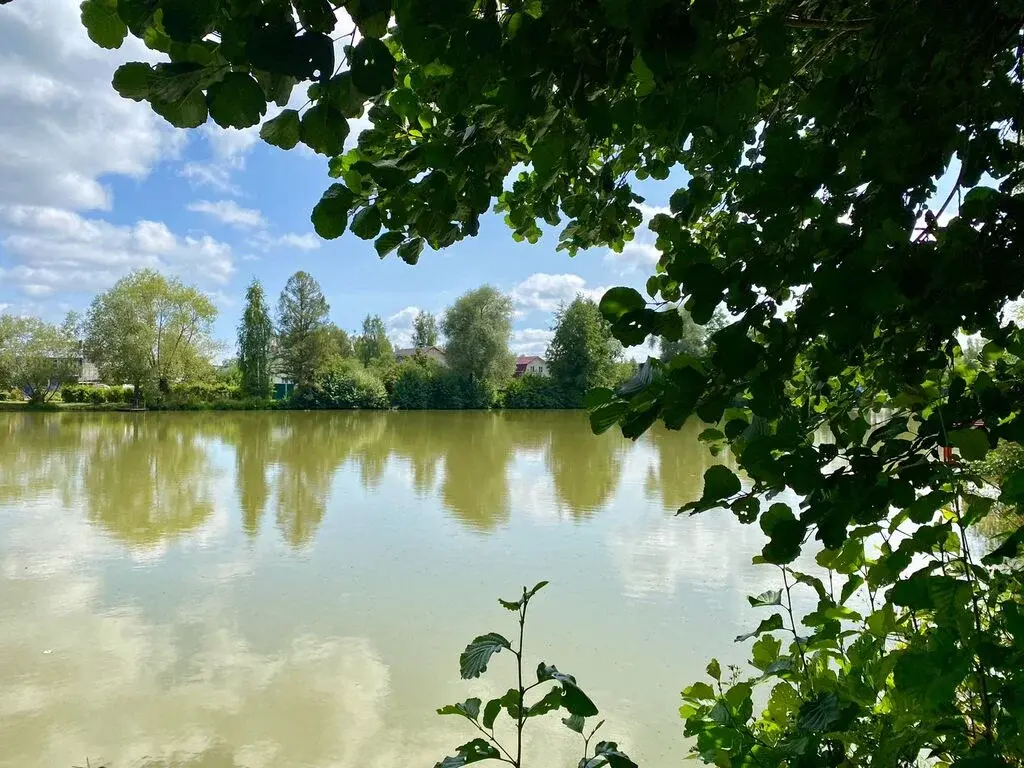 Дом в селе Богородское - Фото 1