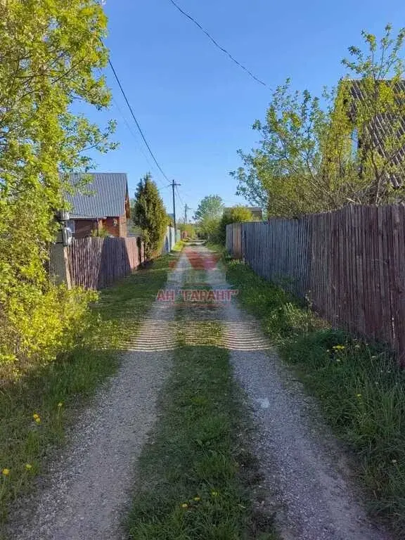 Земельный участок снт "Дружба" г.Карабаново, Александровский р-н, Влад - Фото 5