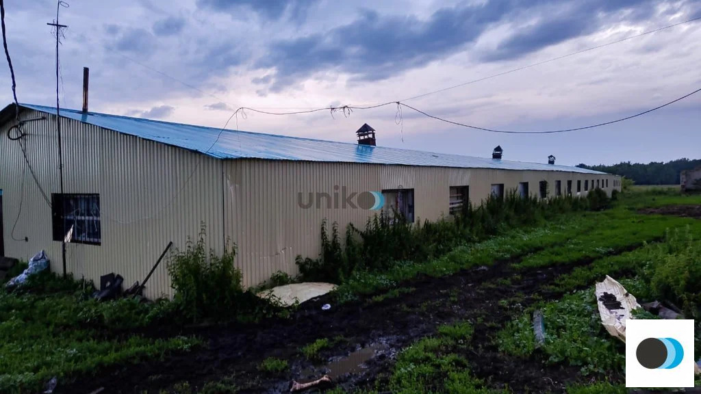 Продажа участка, Таусенгирово, Кармаскалинский район, ул. Лесная - Фото 12