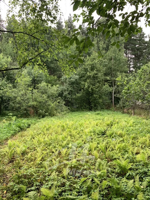 Продажа дома, Павловский Посад, Павлово-Посадский район - Фото 33
