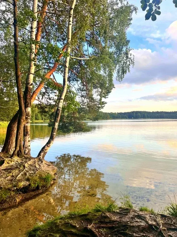 2-я квартира в п. санатория Озеро Белое, дом 6 - Фото 16