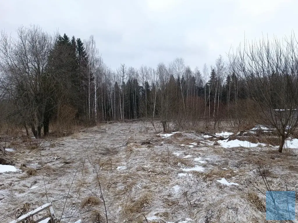 20 соток ИЖС в д. Судниково - Фото 8