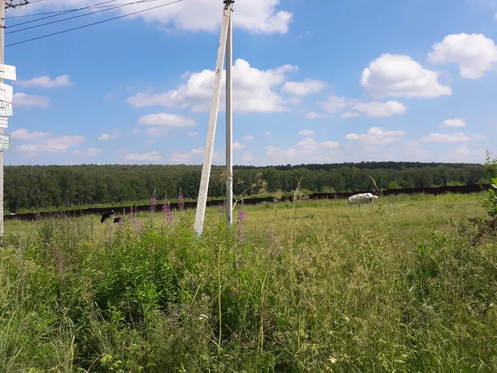 Купить Участок Под Ижс Домодедово