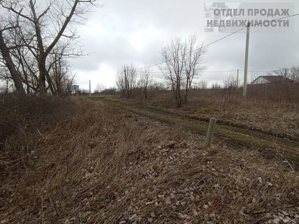 Участок - Фото 5