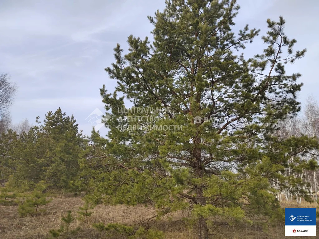 Продажа участка, Рязанский район - Фото 2