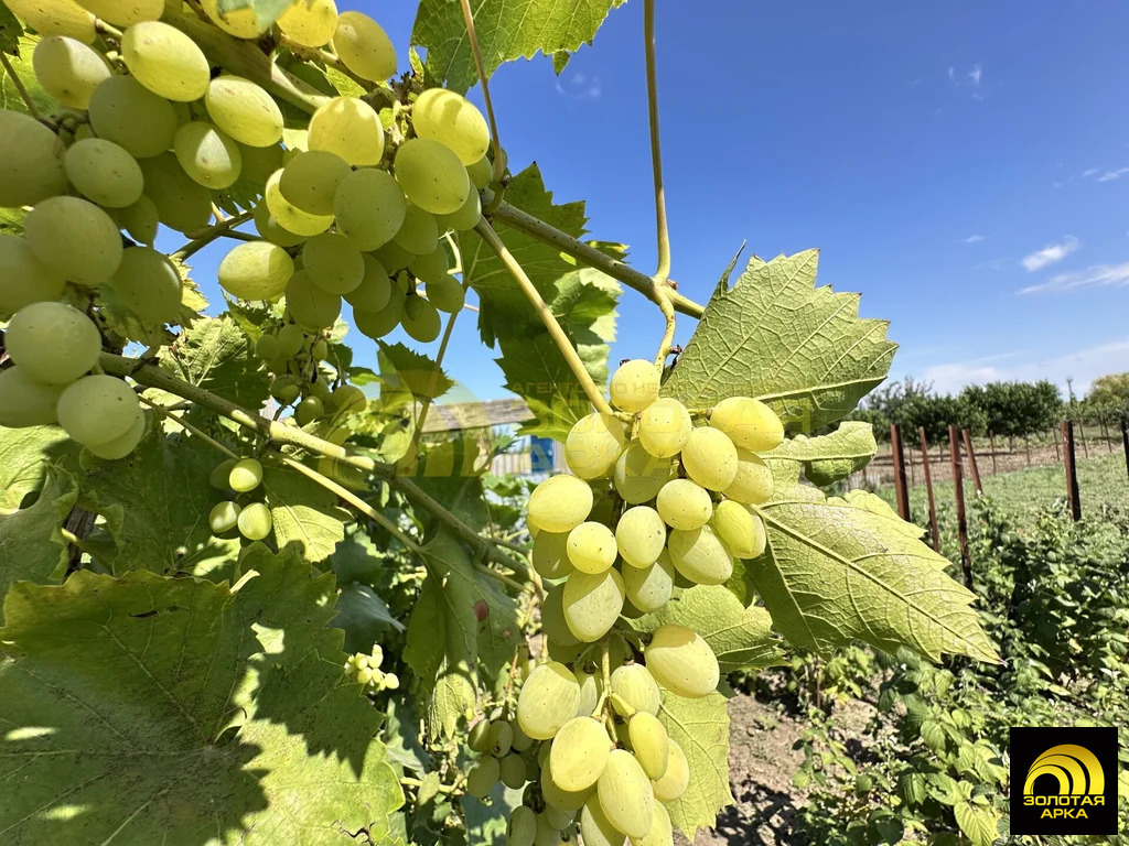 Продажа дома, Старотитаровская, Темрюкский район, Ильича пер. - Фото 17