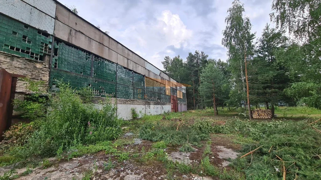 Продажа производственного помещения, Лосино-Петровский, ул. ... - Фото 4