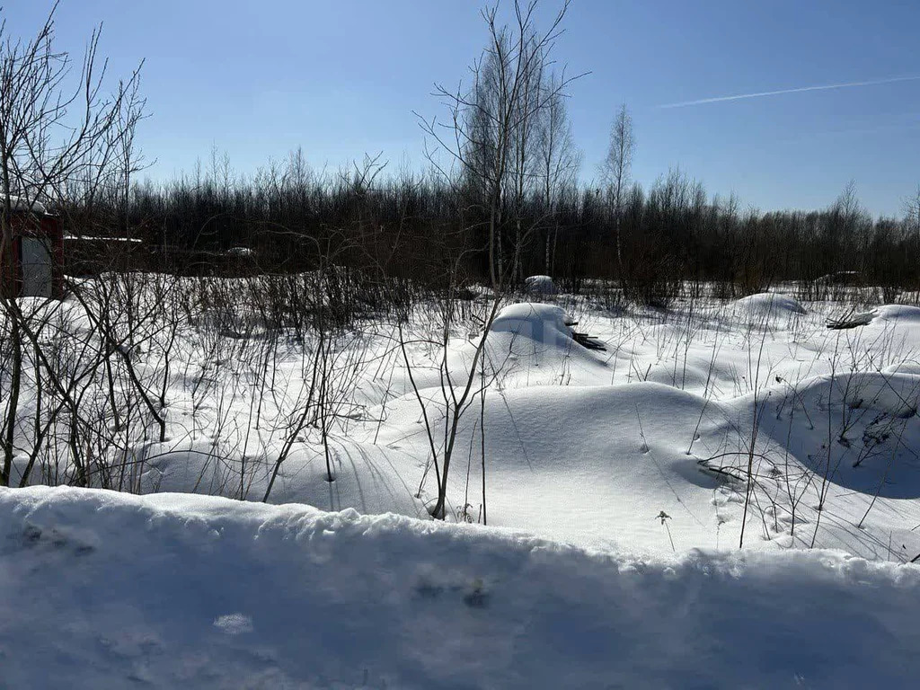 Продажа участка, Богородский г. о. - Фото 1