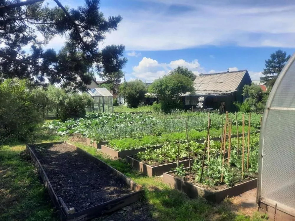 Снт Искусство Иркутск Мельничная Падь Купить Дачу