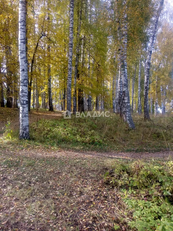 Судогодский район, деревня Станки,  земля на продажу - Фото 3