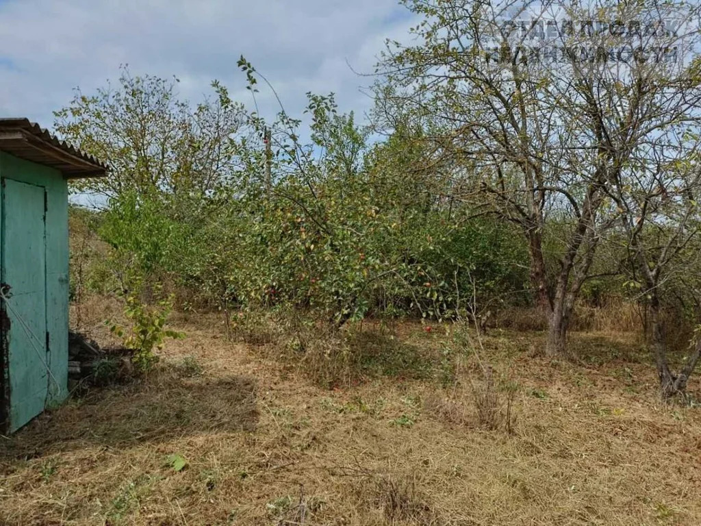 Дачный участок - Фото 7