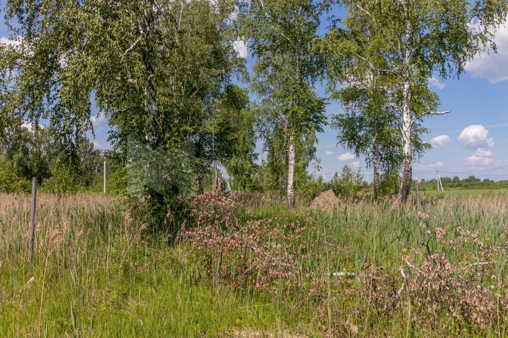 Купить Земельный Участок В Тюмени Цены
