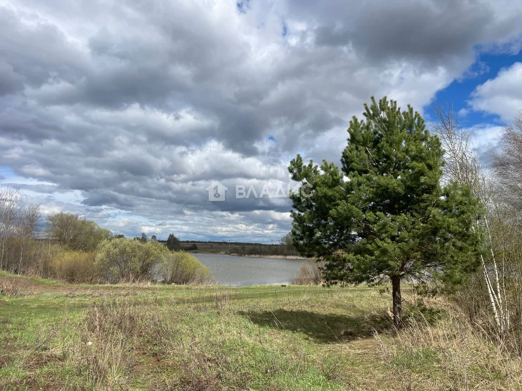 городской округ Ступино, село Ивановское,  земля на продажу - Фото 3