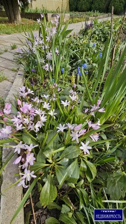 Продается  уютный дом  170м2 в СНТ БАБЕНКИ - Фото 3