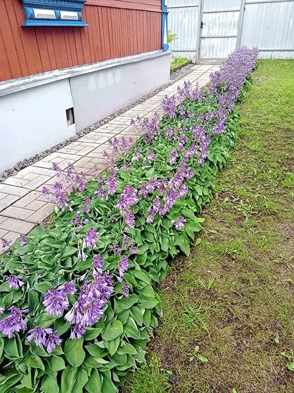 Часть дома в поселке Радовицкий - Фото 2