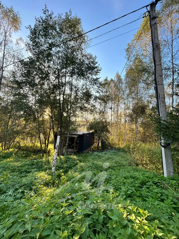 Продажа дома, Дмитров, Дмитровский район, 53 - Фото 16