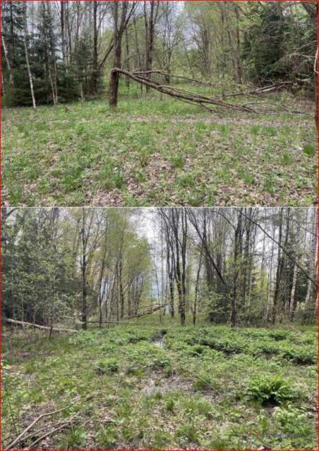 Продажа участка, Слобода, Клинский район, улица Новая Слобода - Фото 0