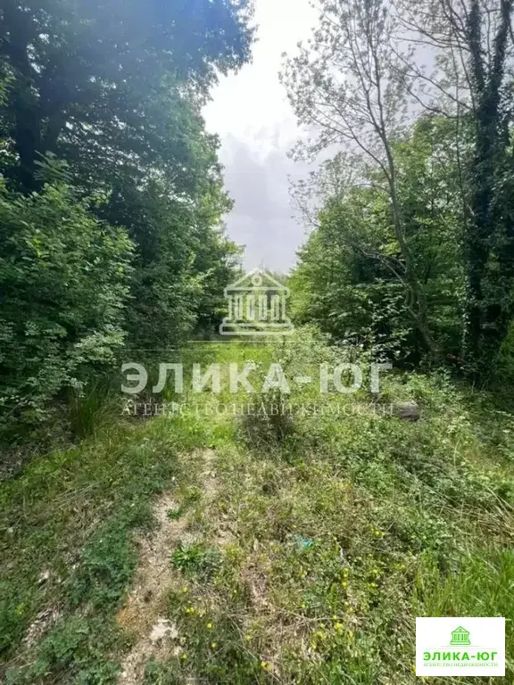 Продажа участка, Джубга, Туапсинский район - Фото 2