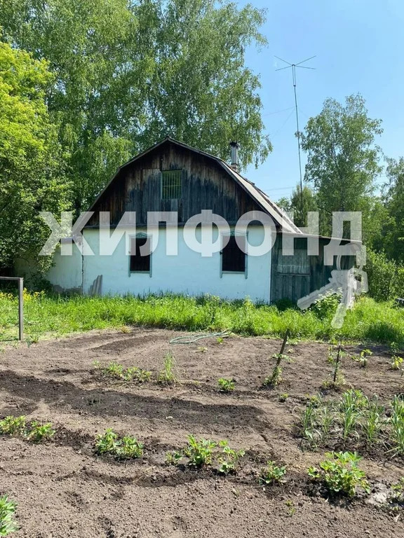 Продажа дома, Барабка, Искитимский район, ул. Новая - Фото 3