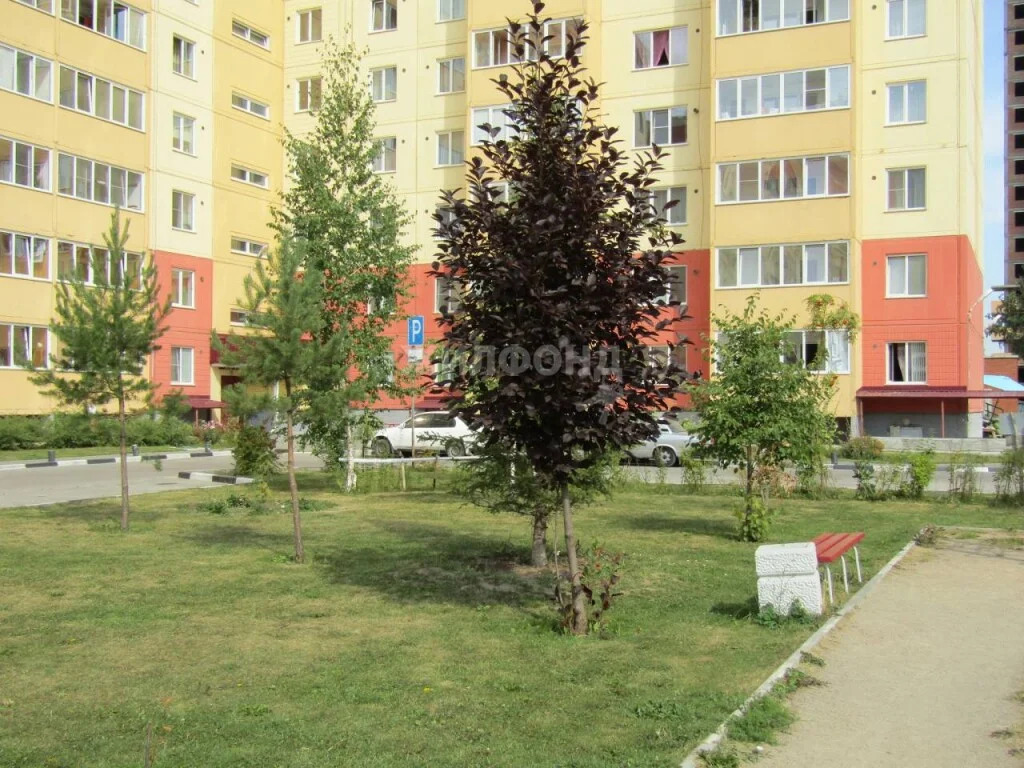 Продажа квартиры, Новосибирск, Виктора Уса - Фото 8