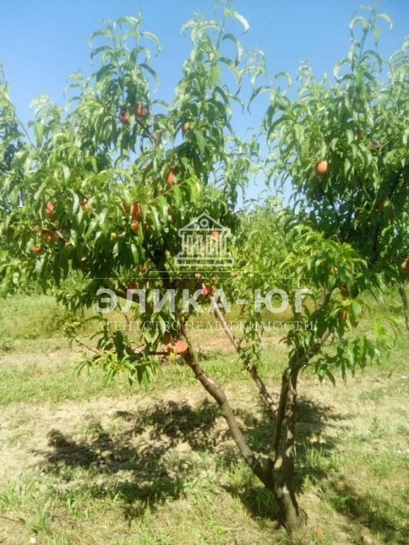 Продажа участка, Дефановка, Туапсинский район - Фото 11