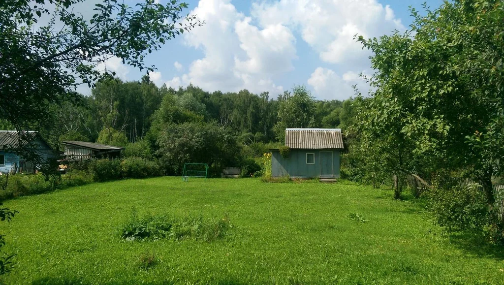 Снт михнево ступинский. Михнево СНТ Родник.