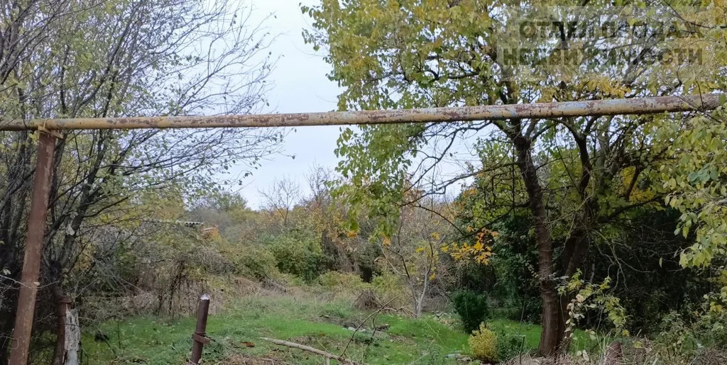 Участок 10 соток - Фото 1