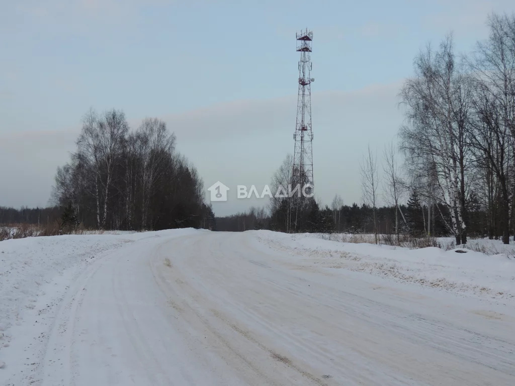 Собинский район, село Березники, земля на продажу - Фото 4