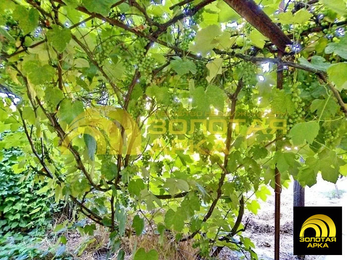 Продажа дома, Федоровская, Абинский район, ул. Первомайская - Фото 17