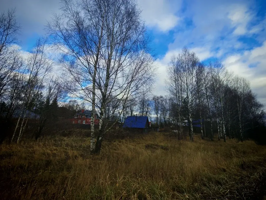 Продается участок 23 сот. ИЖС в д. Шорново - Фото 8