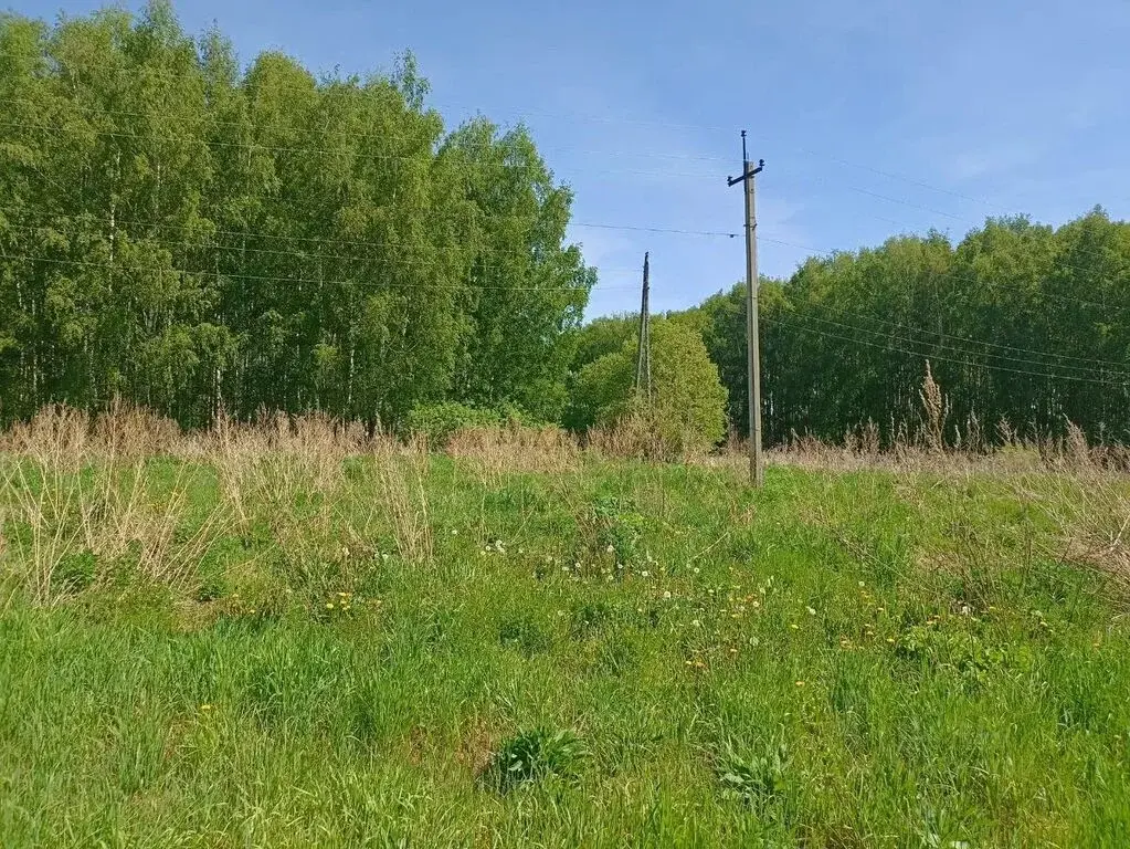 Продаю коммерческую землю 10.0 га ул. Школьная, Московская область, .. - Фото 7