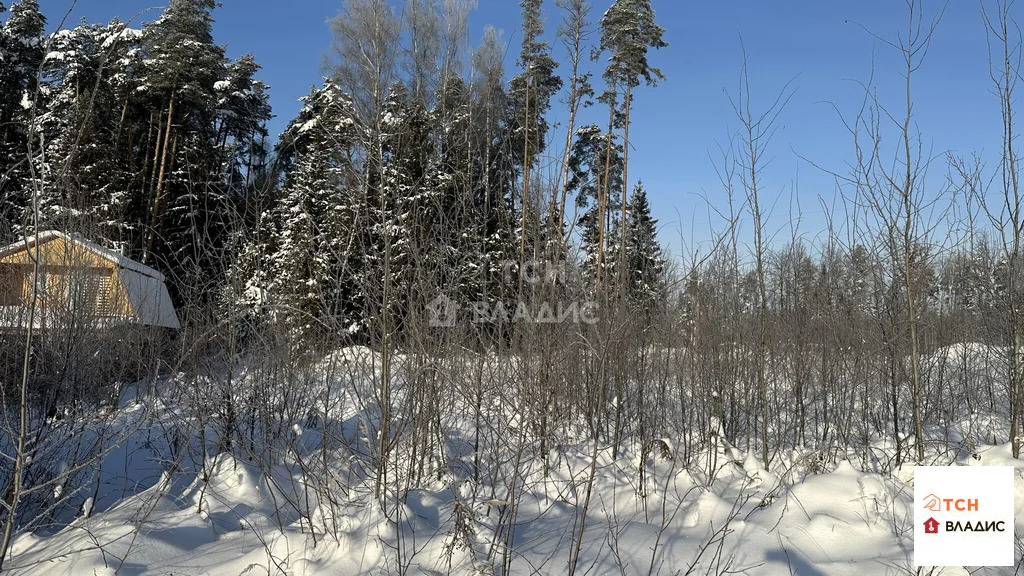 Продажа участка, Митянино, Щелковский район, Любимая улица - Фото 5