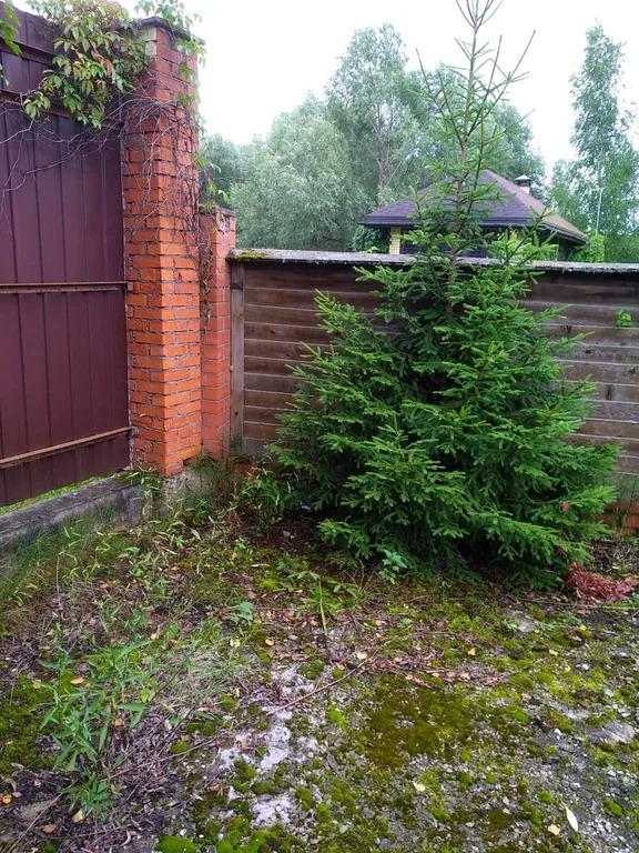 Продажа участка, Владычино, Волоколамский район - Фото 3