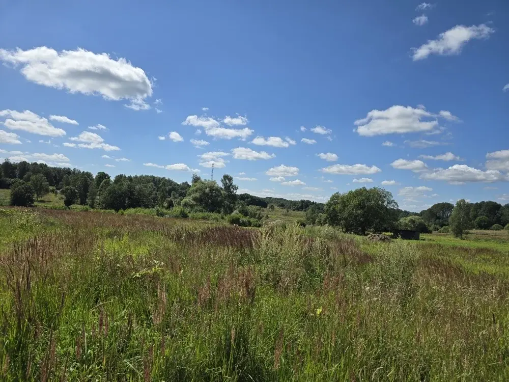 Продаю уч. 30 сот. с Семеновское - Фото 2