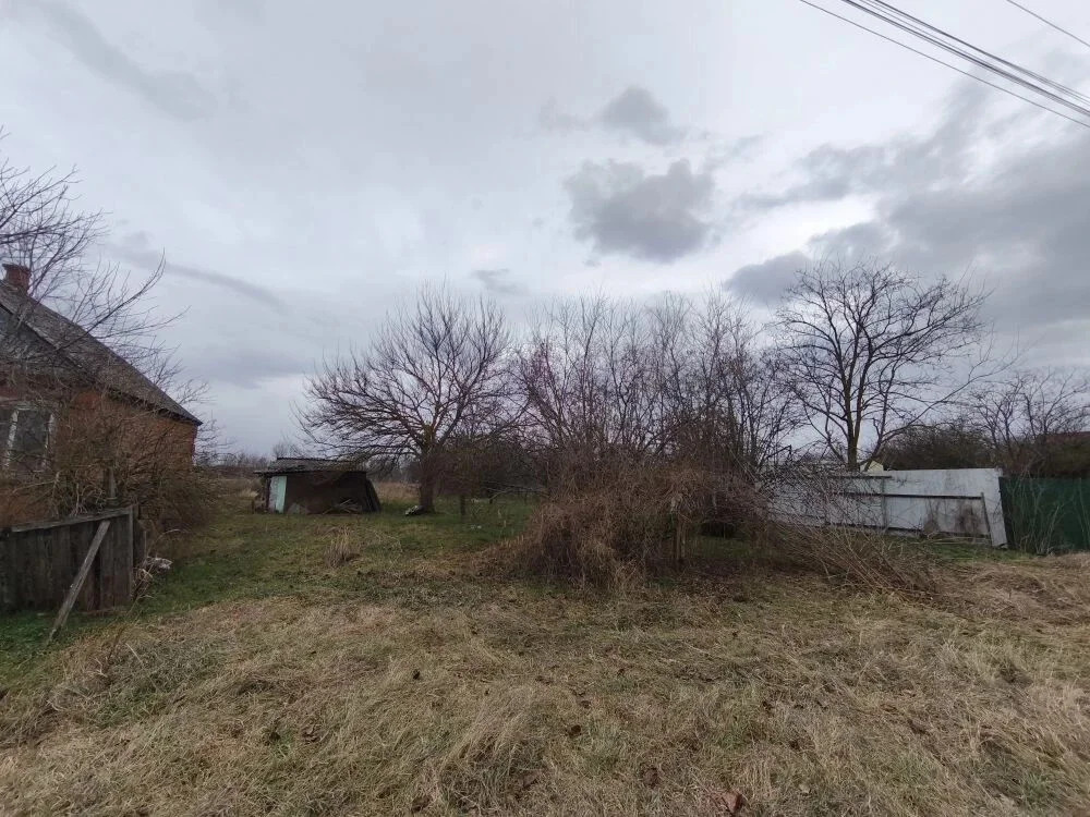 Продажа участка, Львовское, Северский район, ул. Октябрьская - Фото 4