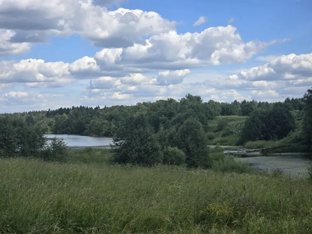 Продаю дом в с. Никольское - Фото 16