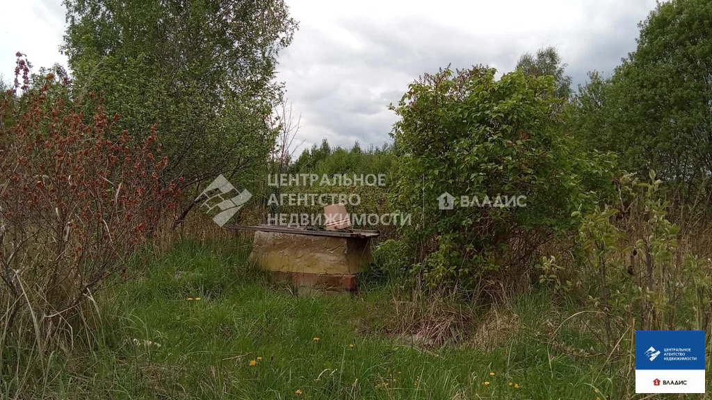 Продажа дома, Велье-Родионовка, Спасский район - Фото 29