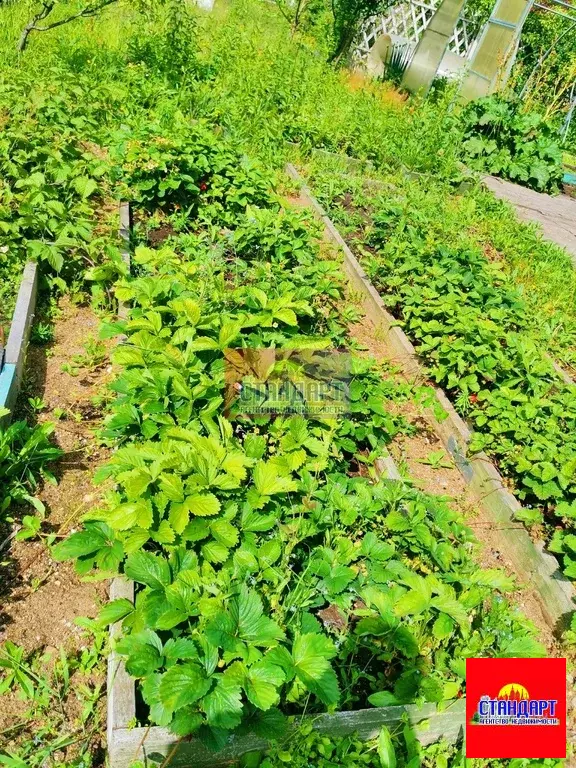 Хороший дом с землей в городе. - Фото 13