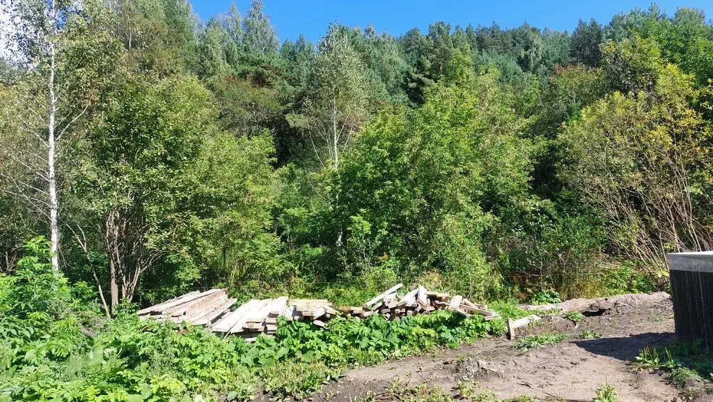 Живописный участок в Белокурихе от собственника! - Фото 17