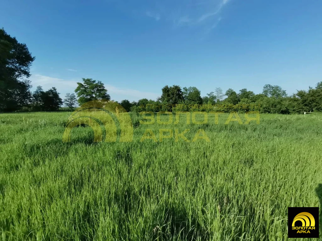 Продажа участка, Старонижестеблиевская, Красноармейский район - Фото 8