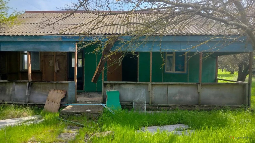 Продажа готового бизнеса, Молчановка, Щербиновский район, ул. Новая - Фото 0