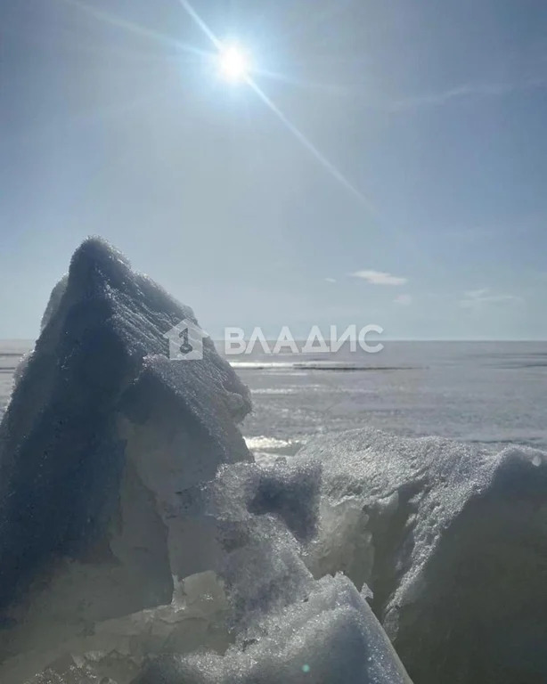 Гдовский район, деревня Сторожинец,  земля на продажу - Фото 7