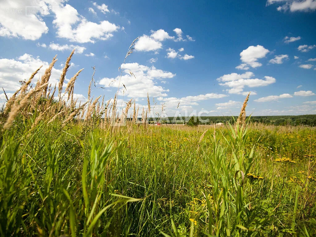 городской округ Воскресенск, коттеджный посёлок Рыболово, территория ... - Фото 1