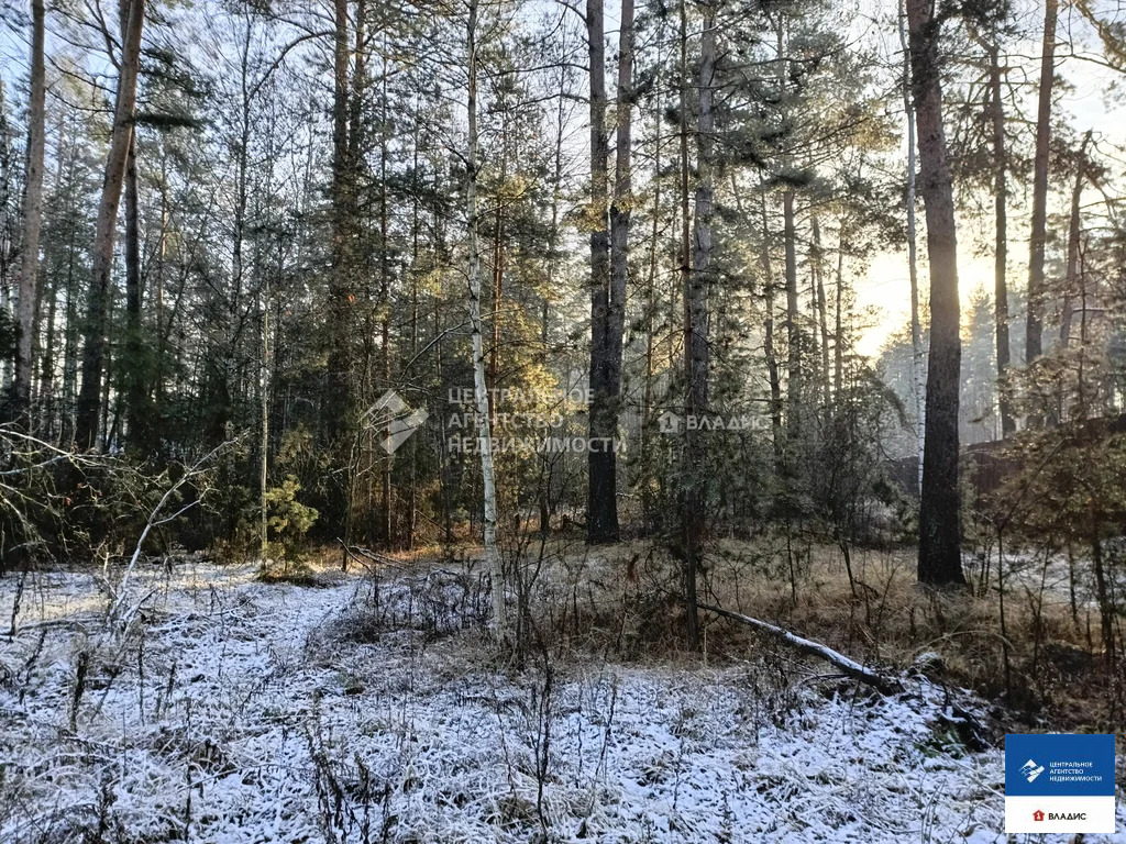 Продажа участка, Алеканово, Рязанский район - Фото 2