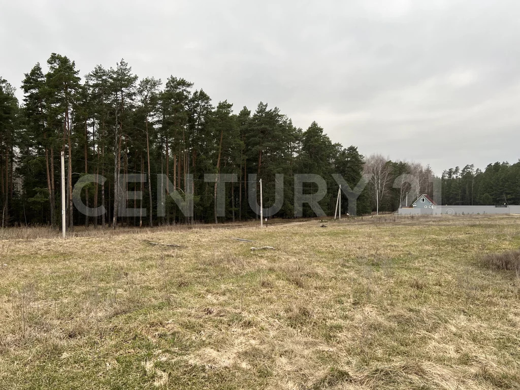 Продажа участка, Кореневщино, Добровский район, Набережная ул. - Фото 15
