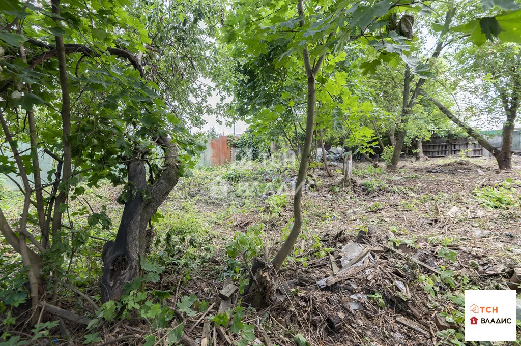 городской округ Пушкинский, село Тарасовка, Большая Тарасовская улица, ... - Фото 11